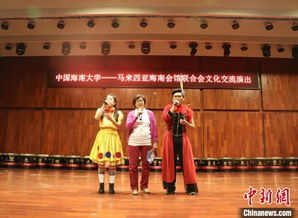 馬來(lái)西亞海南會(huì)館聯(lián)合會(huì)文藝團(tuán)來(lái)瓊開展數(shù)字文化創(chuàng)意軟件交流